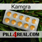 Kamgra levitra1